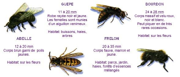 Bienvenue A Hanvec Pays De Nature Et De Decouverte A La Pointe De Bretagne