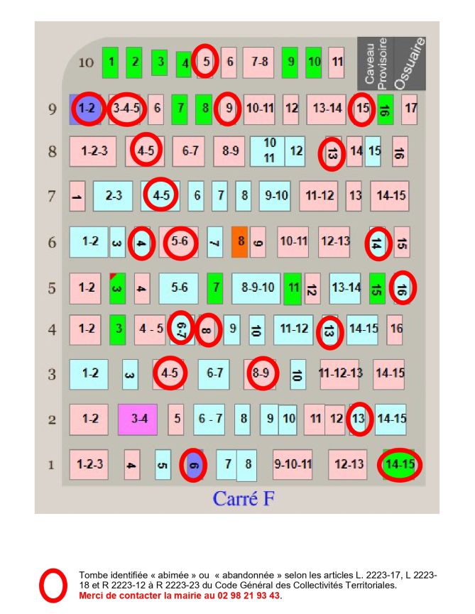 plan 7 plan 7