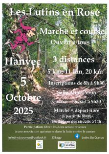 lutins en rose