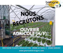 offre emploi 