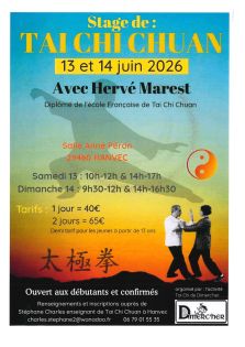tai chi chuan 