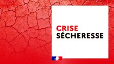 crise s&eacute;cheresse 10 08