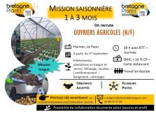 offre emploi 